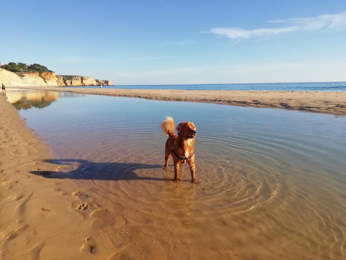 Willa Marreiro'S House Algarve - Child Friendy - Private Pool Lagos Zewnętrze zdjęcie